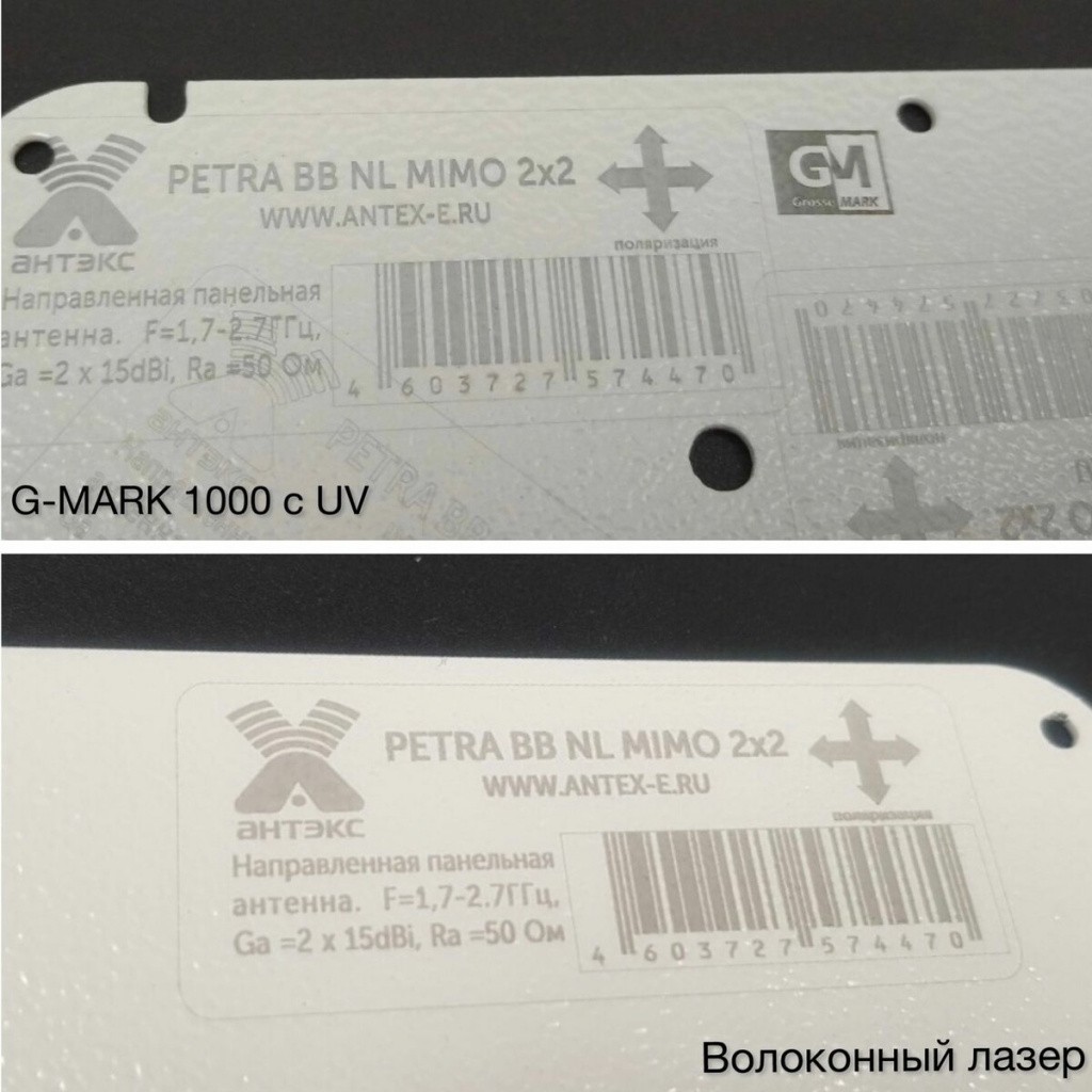 scale_1200-2.jpg